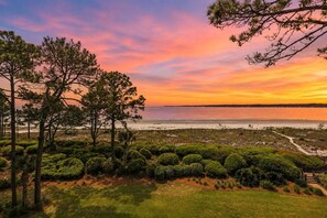 A coastal landscape with trees, a beach, and a clear sky.