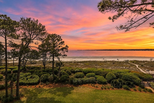 A coastal landscape with trees, a beach, and a clear sky.