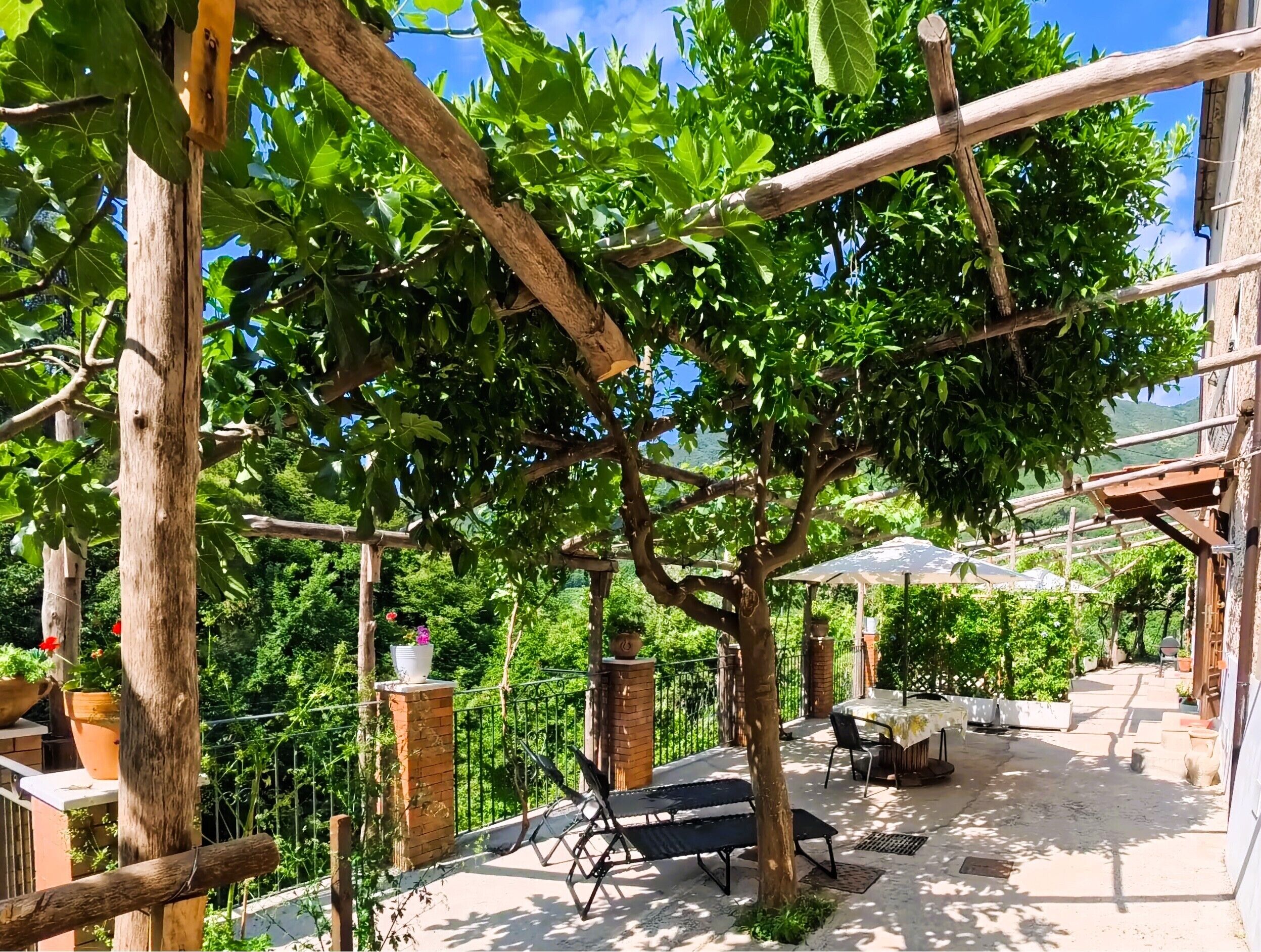 Terraza o patio
