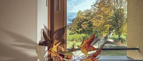 A window with autumn leaves and a view of trees and a garden.