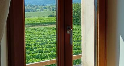 Agriturismo Villa di Modolo