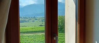 Agriturismo Villa di Modolo