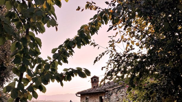 A stone staircase leading to a rustic building with a stone roof, surrounded by greenery and a view of distant hills. - Nice apartment for 4 guests with WIFI, A/C, pool, TV, terrace, pets allowed and panoramic view (Penna)