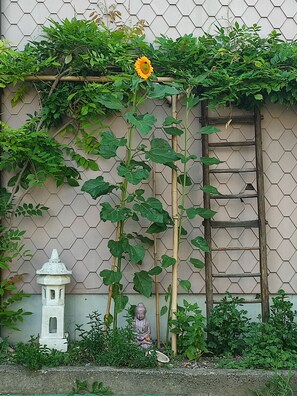 Detalle del exterior