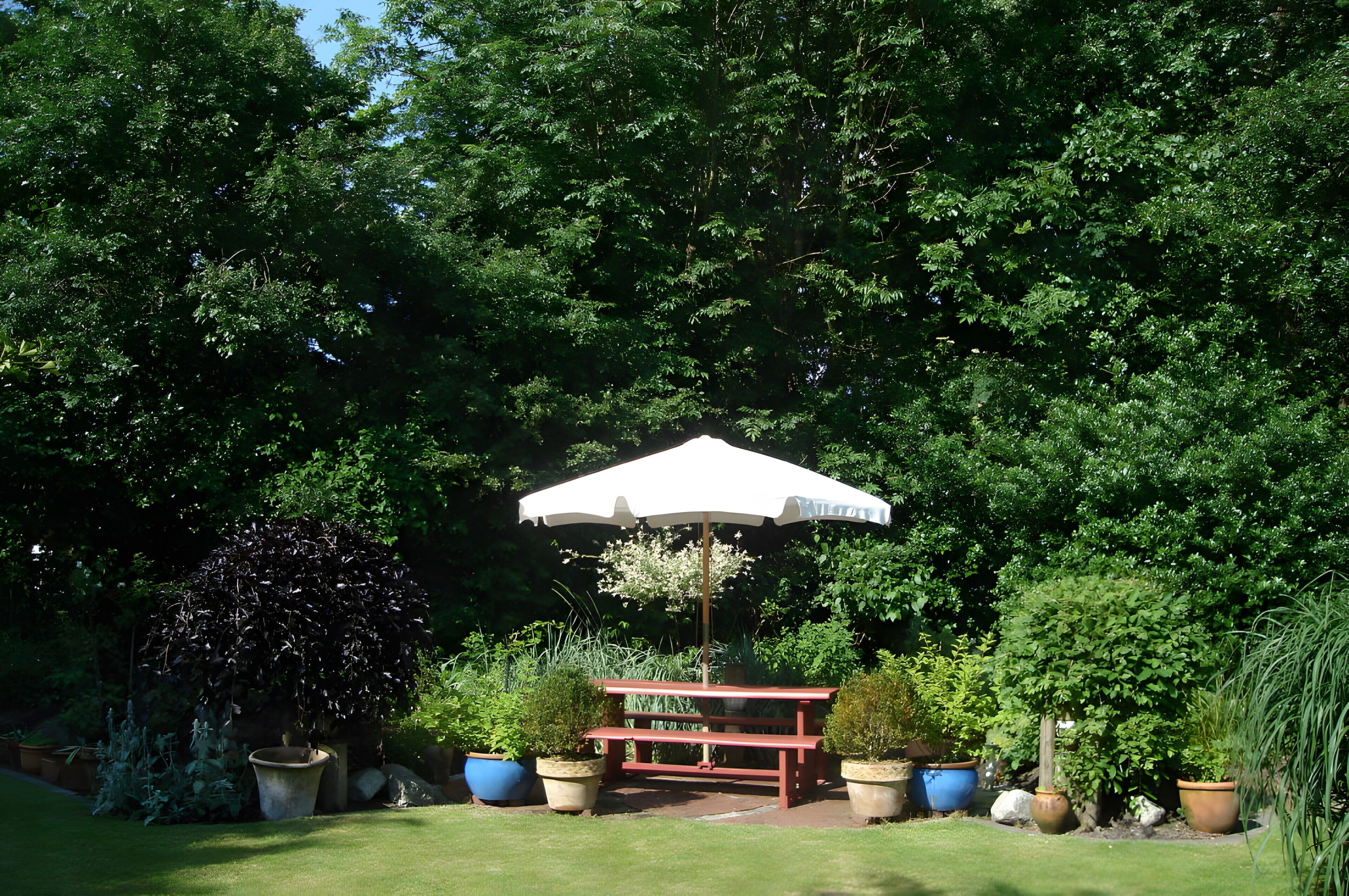 Jardines del alojamiento