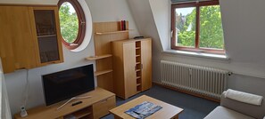 Habitación con televisor, muebles de madera, un radiador y ventana con vista a árboles.