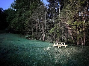 Property grounds - CampRV Lookout Apartment – Peaceful Scenic Escape (Elkins)