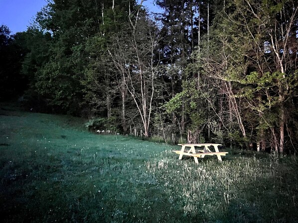 Property grounds - CampRV Lookout Apartment – Peaceful Scenic Escape (Elkins)