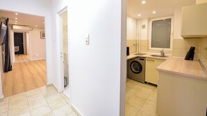 Une cuisine moderne équipée d’un lave-linge, d’un évier et d’un plan de travail.