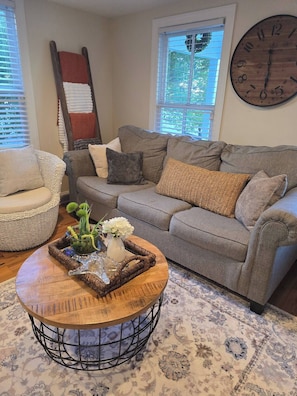 Smart TV, fireplace, books