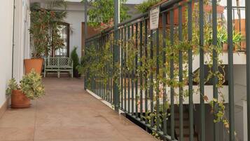 Un couloir avec une clôture métallique verte, des plantes en pot et un banc.