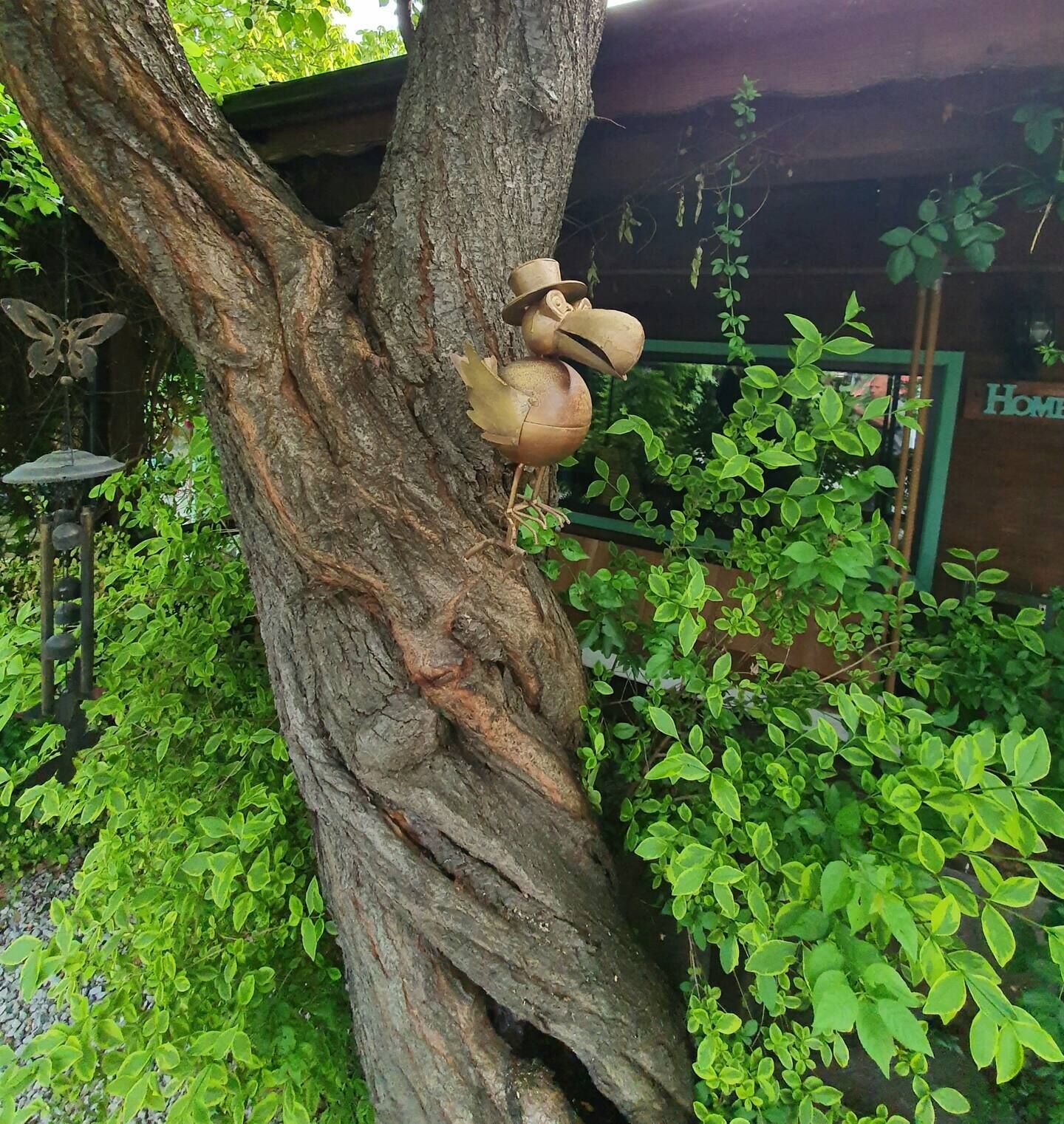 Un árbol con un comedero para pájaros colgando.