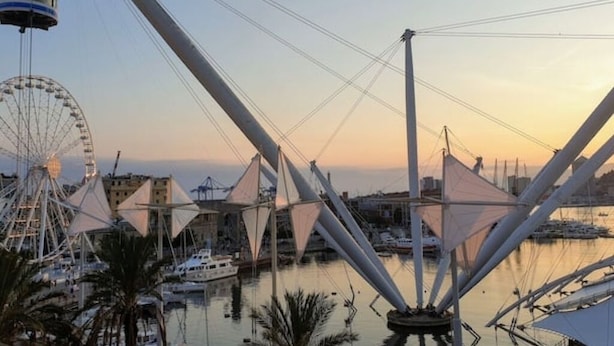 Een jachthaven met boten, een reuzenrad en een moderne brugconstructie.