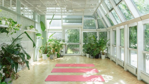 A spacious room with large windows, wooden flooring, and several potted plants. - Allihoop - Bromma Friends (Bromma)