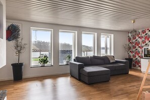 TV connectée, cheminée, chaîne hi-fi