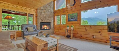 Fernseher, Kamin, DVD-Player