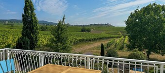 Fantastic villa | Families, friends & events | Stylish | With garden & terrace