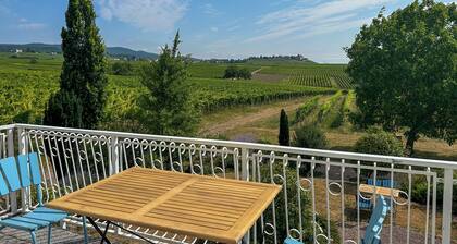 Fantastic villa | Families, friends & events | Stylish | With garden & terrace