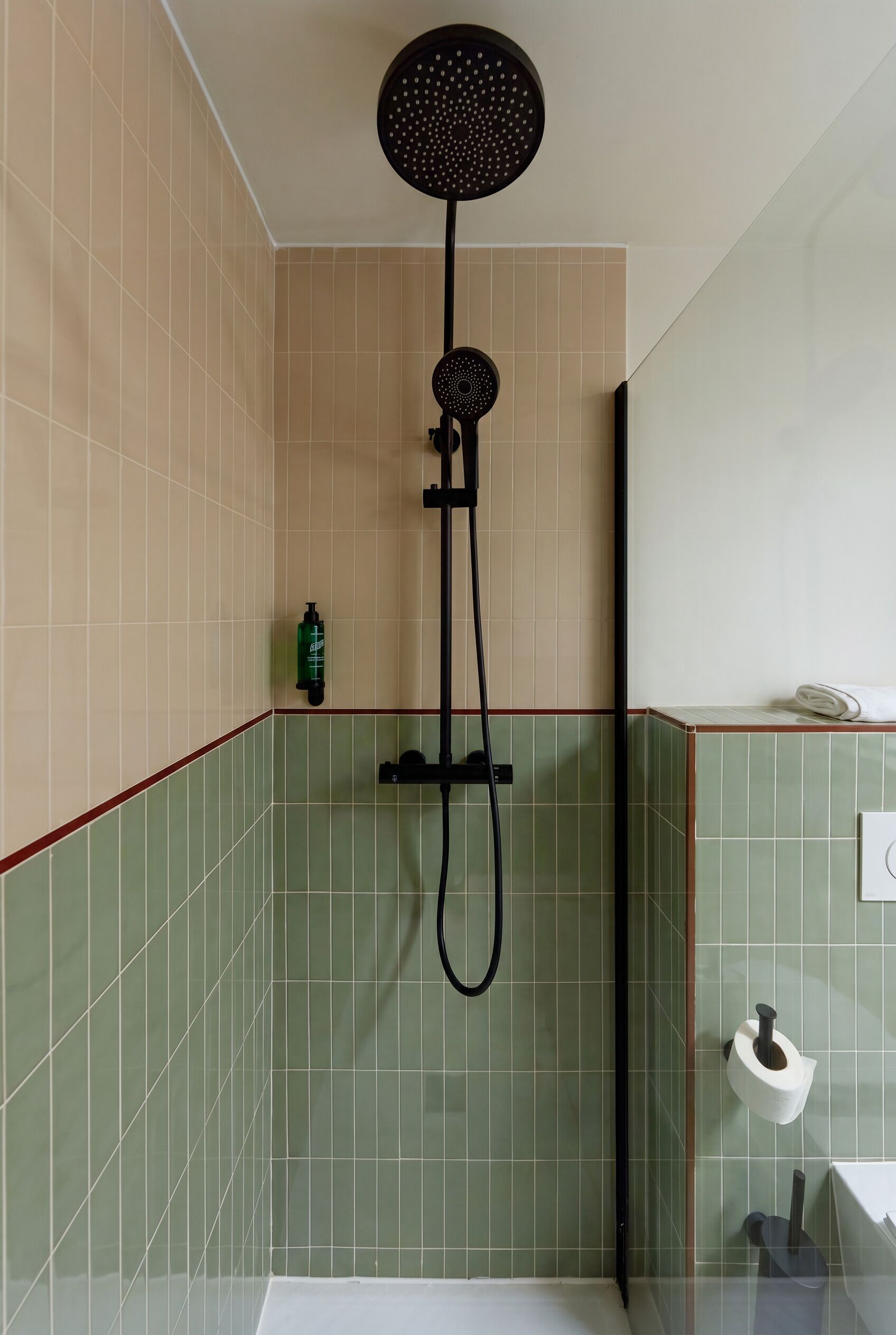 Una ducha con cabezal de ducha de mano, un grifo de pared y un dispensador de papel higiénico.