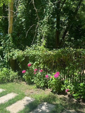 Terrein van de accommodatie