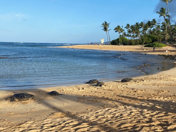 Am Strand, Liegestühle, Strandtücher