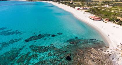 Villa Olivastro - family home in Pittulongu