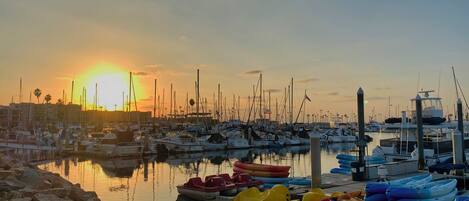 Marina