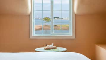 Basic Room, 1 Bedroom (Harp (Ocean View, BBQ)) | 1 bedroom, free WiFi