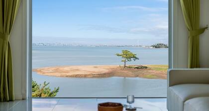 Daebudo Aladdin Pension