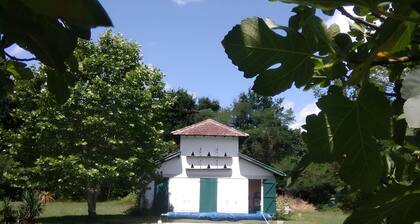 Holiday Home 'Gîte 5 to 6 People, Shared Pool, Beaches Nearby' with Pool