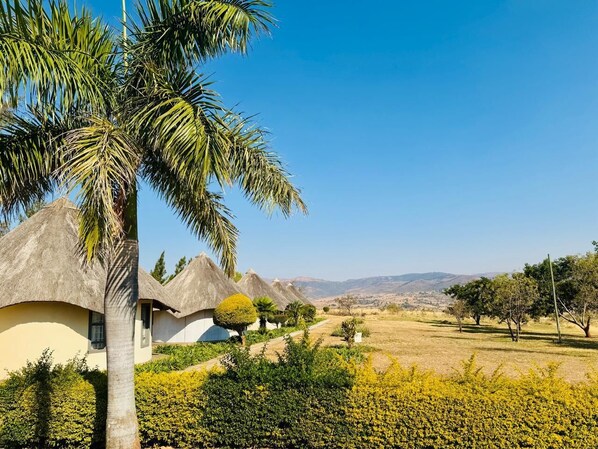 Garden view