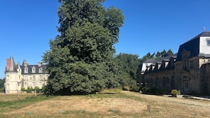 Ein großes, historisches Gebäude mit mehreren Türmen und einem markanten Baum im Vordergrund.