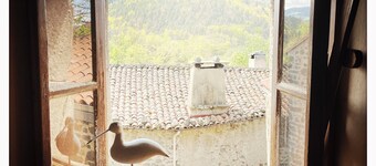 Nature break in the monk's room, wellness area on site!