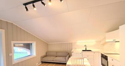 Peaceful Single Room in DT Serene Villa near Oslo | Lillestrøm K2