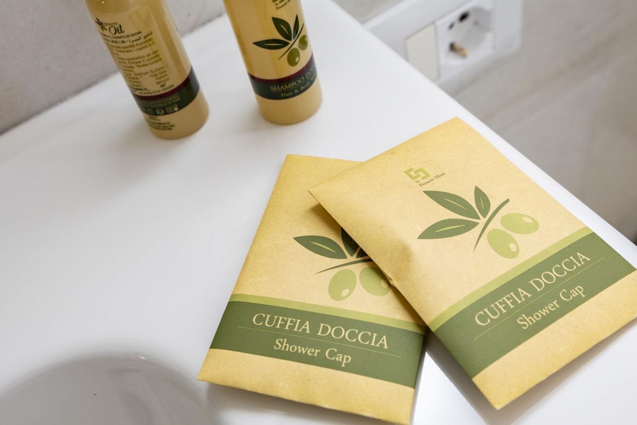 Shower, free toiletries, hair dryer, bidet