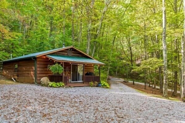 A rustic cabin with a porch, surrounded by a forest.