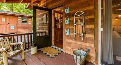 Mama Bear, cozy cabin in the Smoky Mountains.