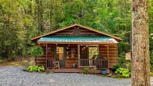 A rustic cabin with a porch, surrounded by dense forest.