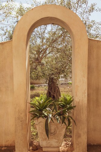 Yuccas Home - at Kato Pitsa Xylokastro n 1