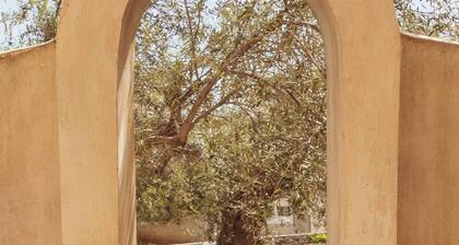 Yuccas Home - at Kato Pitsa Xylokastro n 1