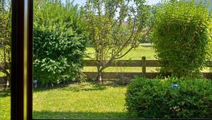 A view through a window of a grassy area with trees and a wooden fence.