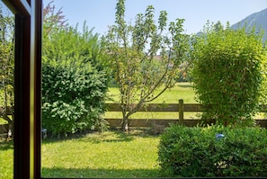 A view through a window of a grassy area with trees and a wooden fence.