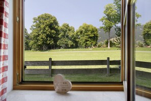 Una ventana con vistas a un campo cubierto de hierba, árboles y una valla de madera.
