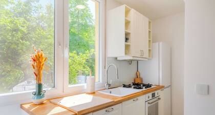 Central Cozy 2 Bedroom Apartment