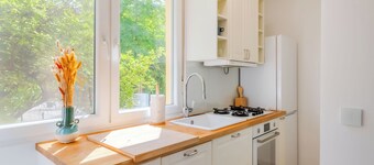 Central Cozy 2 Bedroom Apartment