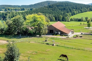 A rural landscape with a barn, open fields, and horses.