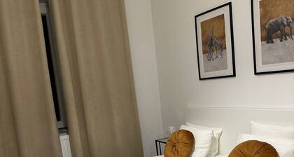 Located 2min from the French community, 10min from debrouckere, 7min from Dansaert