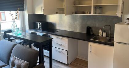 Situé à 2min la communauté française, à 10min de debrouckere, à 7min de Dansaert