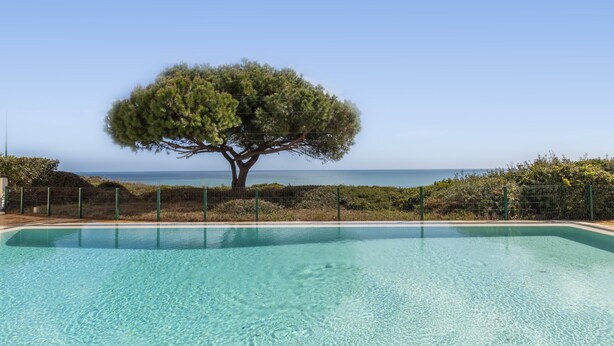 Une piscine aux eaux cristallines, avec un arbre en arrière-plan et une vue sur la mer.