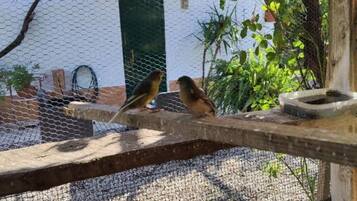 Enceinte de lâhĂ©bergement